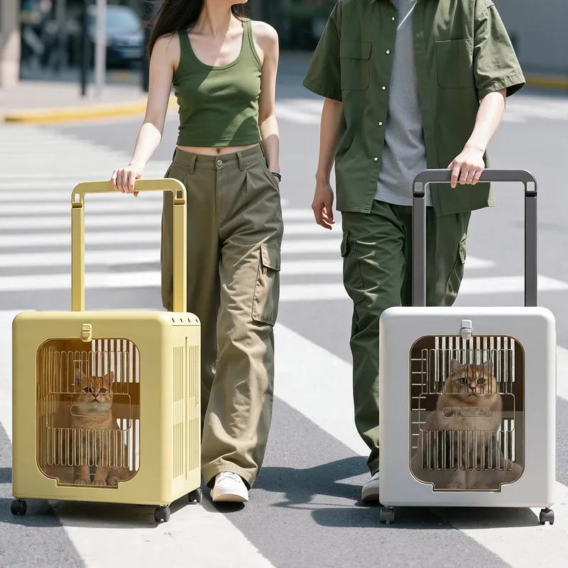 Luksusowy transporter PP dla k – Luxury Bags Wholesale recenzja i cena